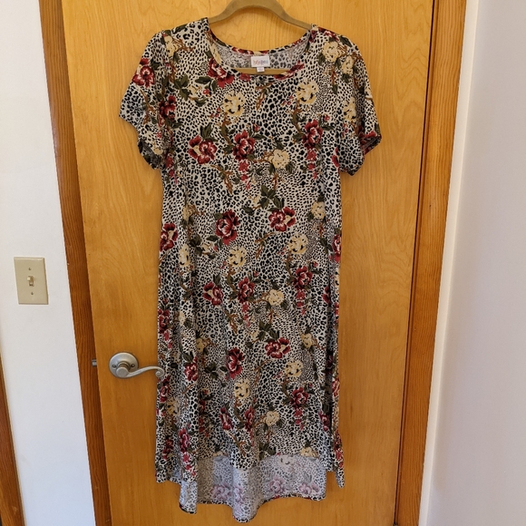 LuLaRoe Medium Carly swing dress - Picture 1 of 5